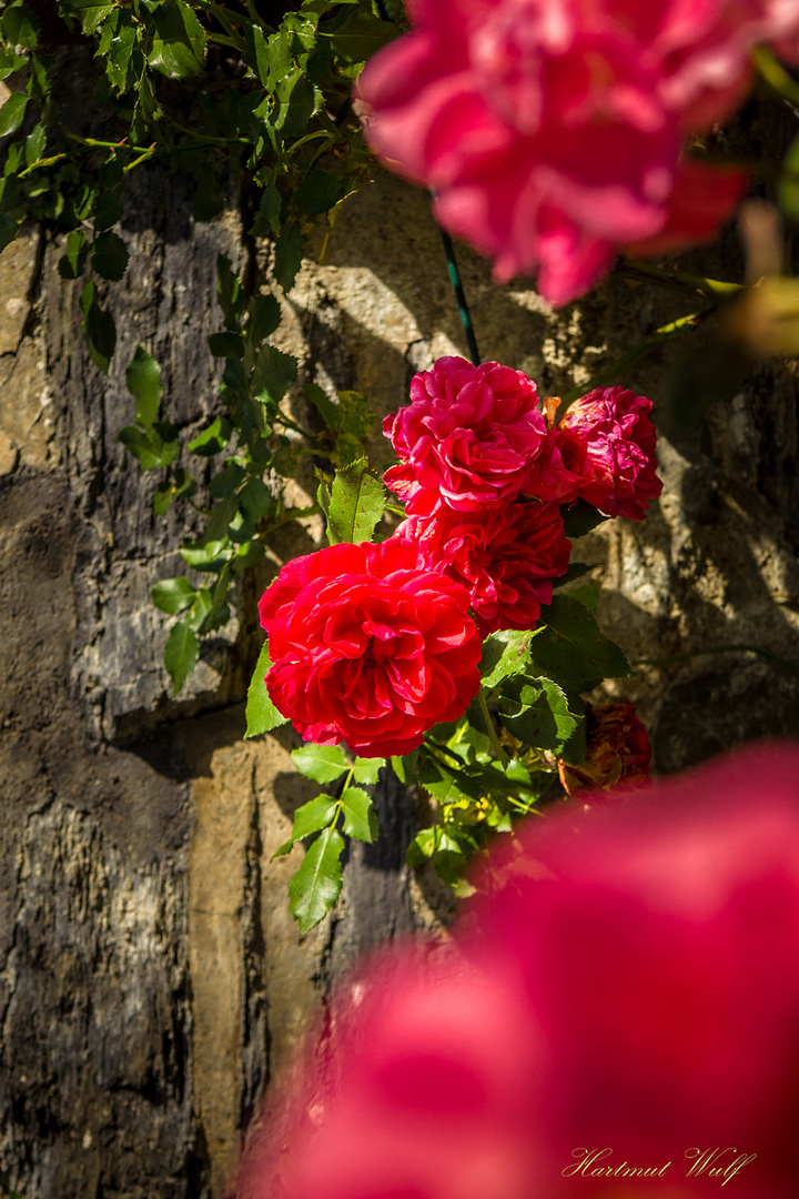 An der Mauer