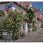 An der Mauer