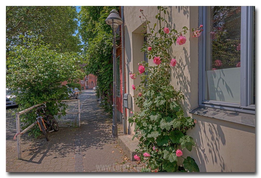 An der Mauer