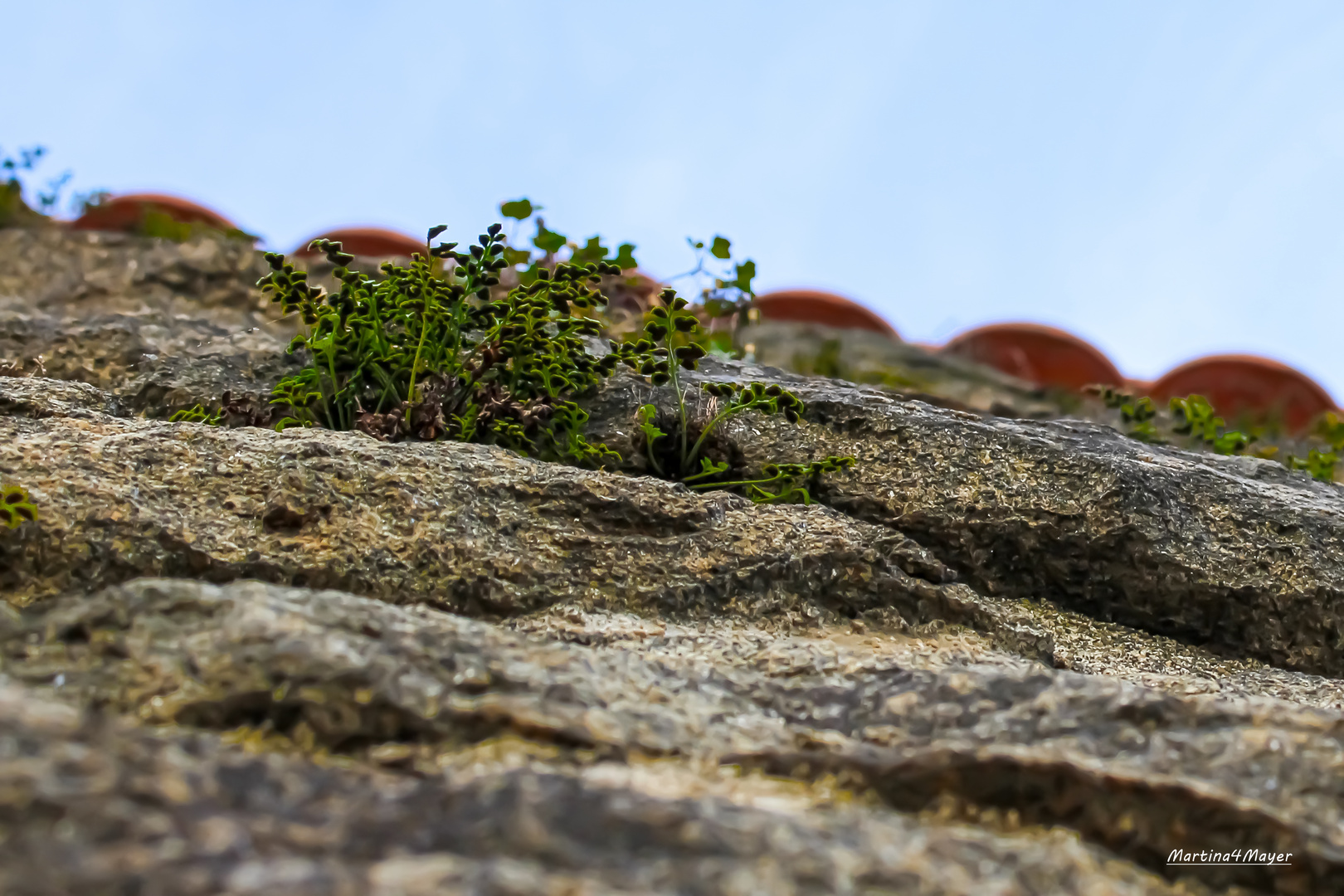 @an der Mauer