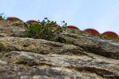 @an der Mauer