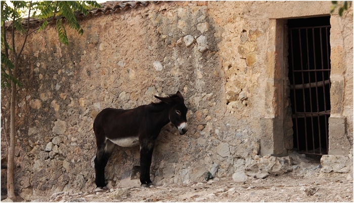 An der Mauer