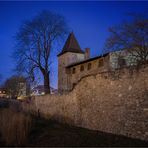 an der Mauer...