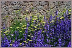 an der Mauer