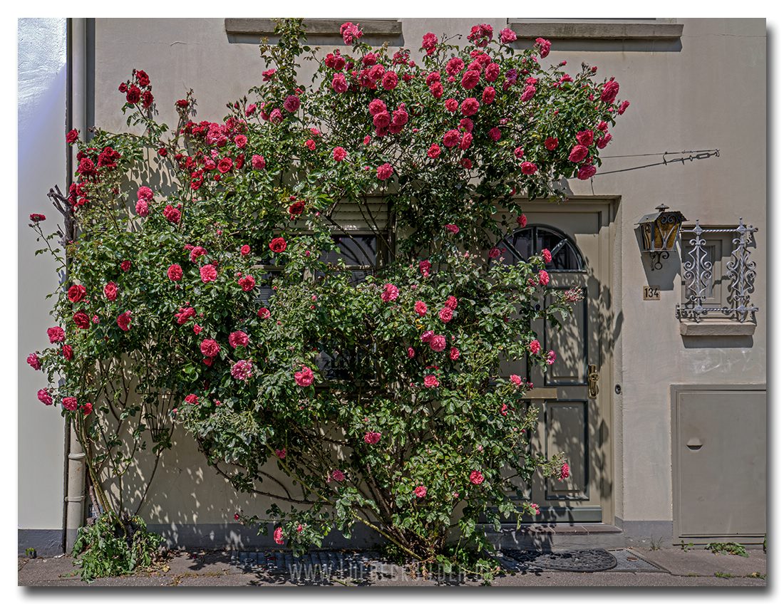 An der Mauer