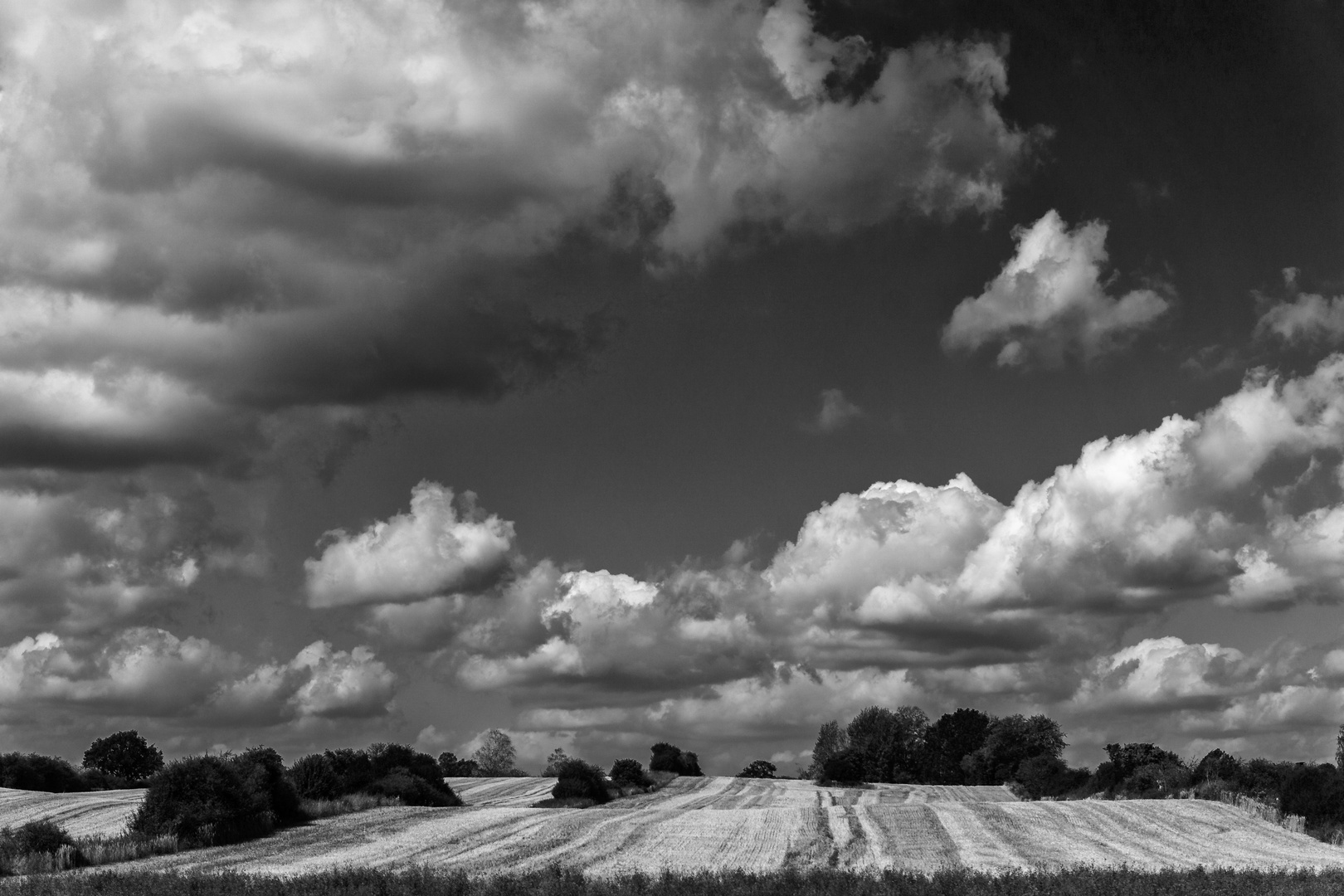 An der Mecklenburgischen Seenplatte 3