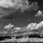 An der Mecklenburgischen Seenplatte 3