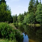 an der Meilerhütte in der Nähe der Talsperre Muldenberg