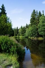 an der Meilerhütte in der Nähe der Talsperre Muldenberg