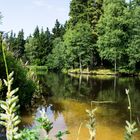 an der Meilerhütte in der Nähe der Talsperre Muldenberg - Klappe die Zweite