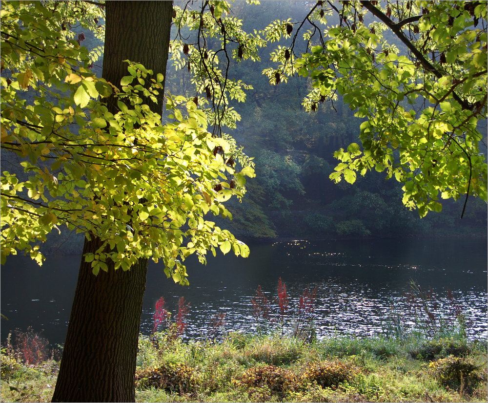 an der Moorlake