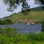 ...an der Mosel