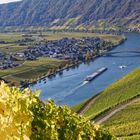 An der Mosel