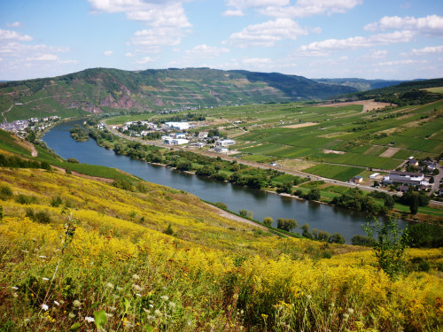 An der Mosel