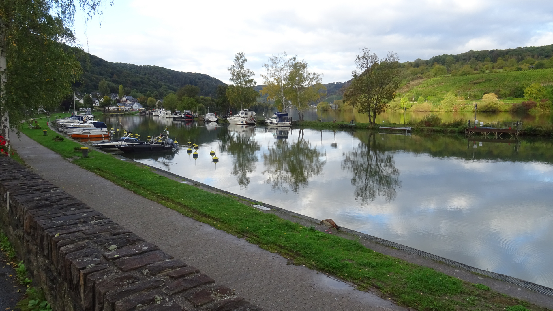 An der Mosel