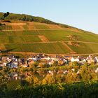 An der Mosel