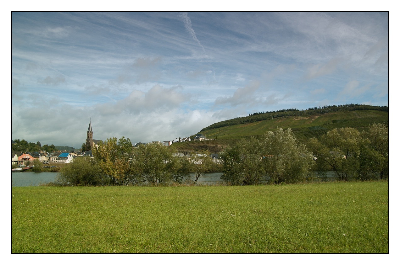 An der Mosel bei Piesport