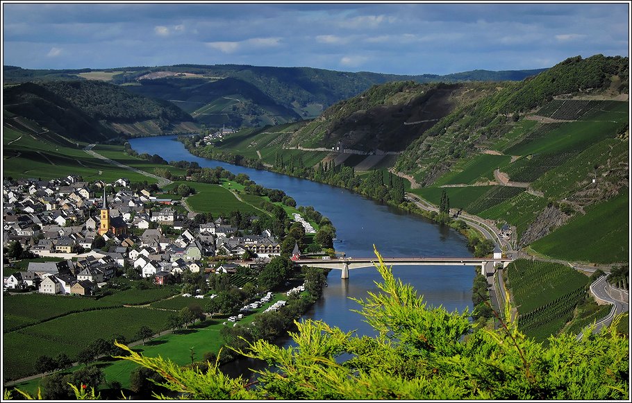 An der Mosel bei Trittenheim