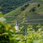 An der Mosel - Blick auf die Kirche von Bremm