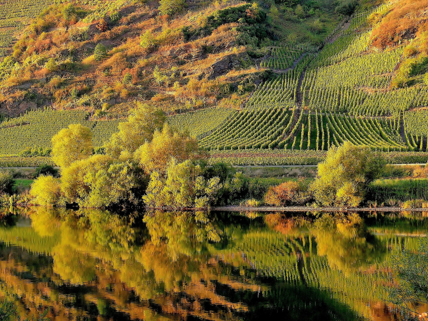 An der Mosel