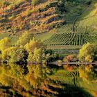 An der Mosel