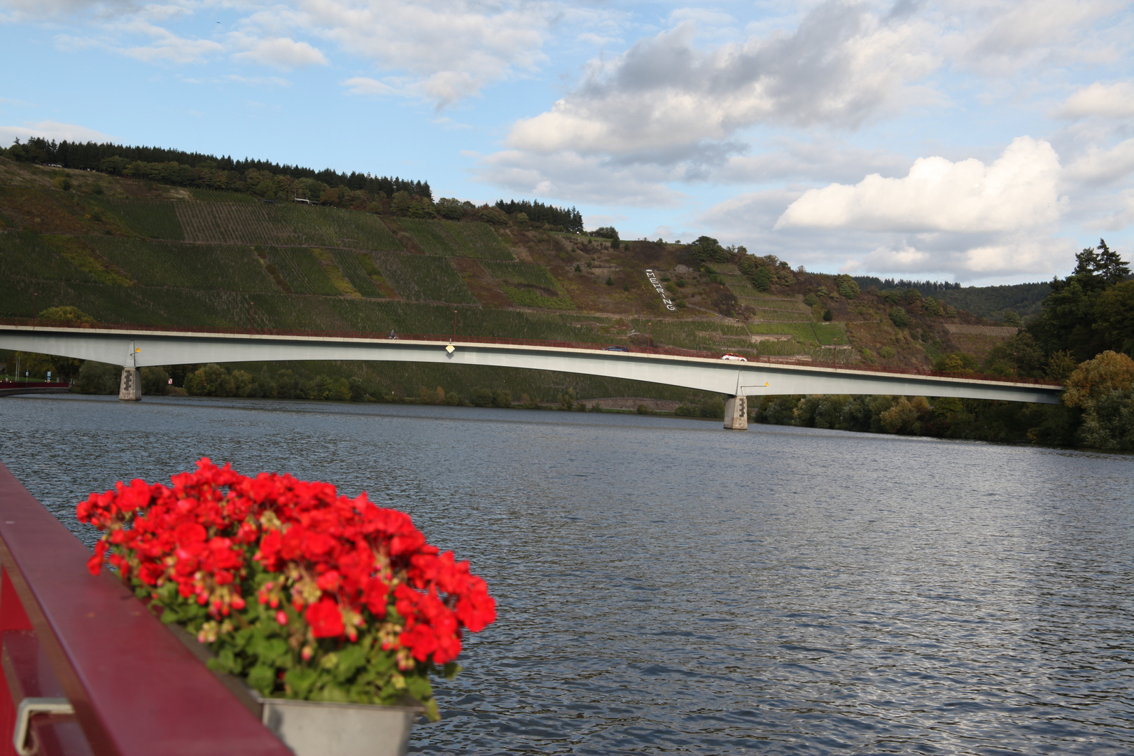 An der Mosel  Ich hab die Mosel ein Strauß und die rücke geschenkt