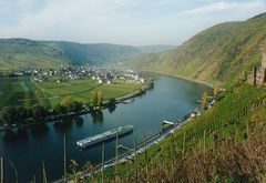 An der Mosel oberhalb v. Beilstein