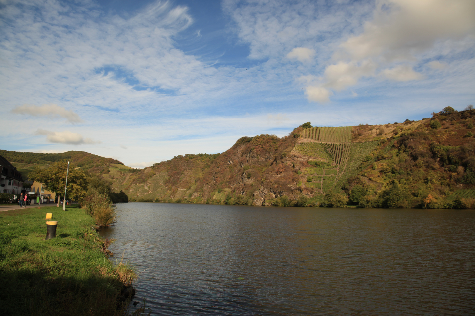 An der Mosel Zur Weinernte 