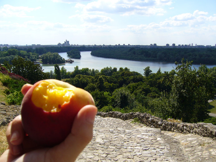 An der Mündung von Sava und Donau