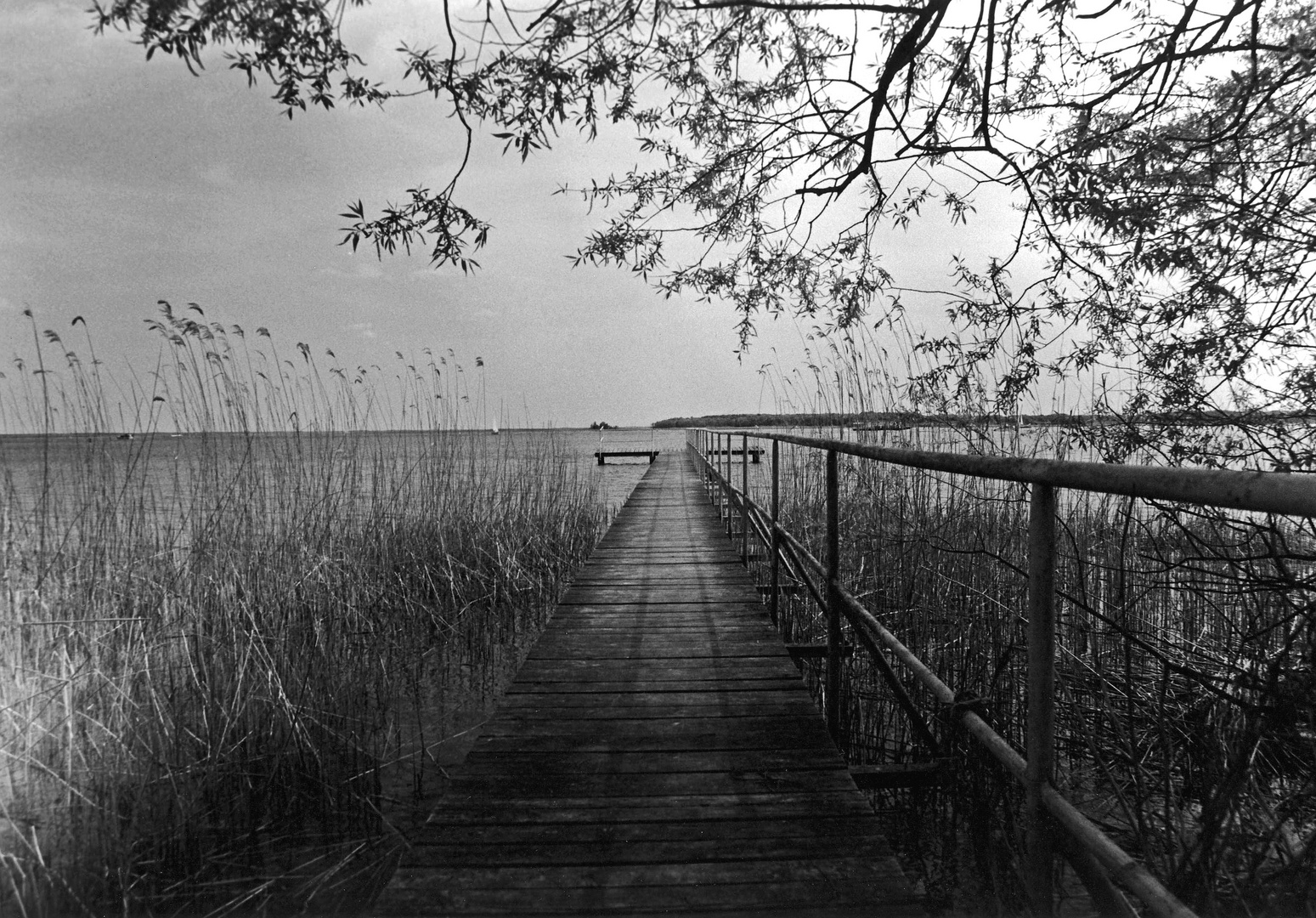 An der Müritz ( Analog )