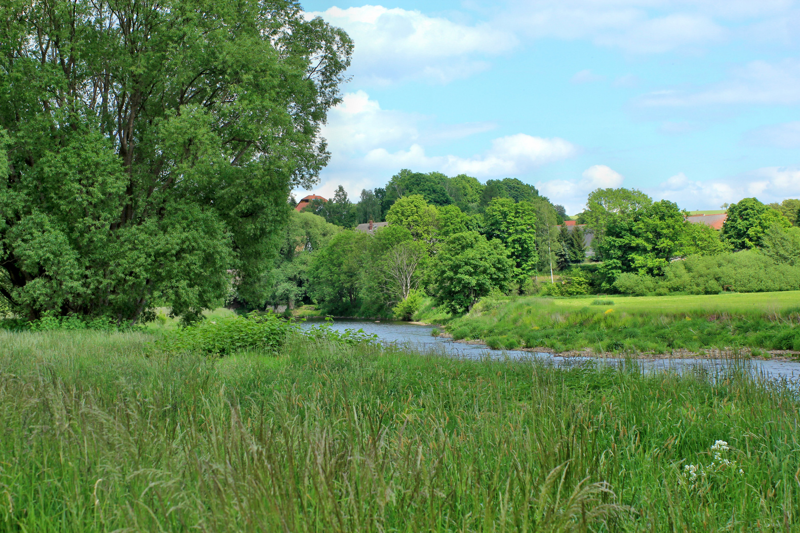 An der Mulde bei Fischheim