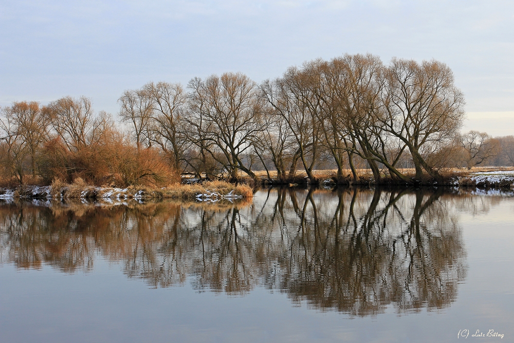 An der Mulde bei Jeßnitz Foto & Bild landschaft, bach, fluss & see