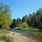 An der Mulde bei Wolkenburg