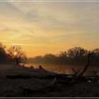 An der Mulde im vorderen Tiergarten in Dessau  - 1 -