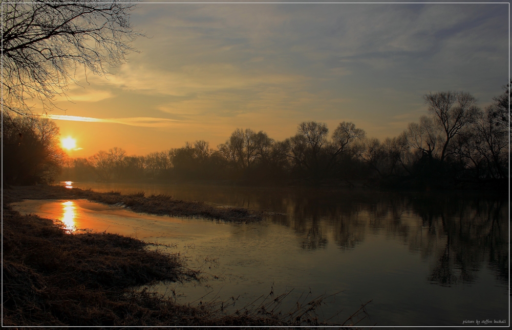 An der Mulde im vorderen Tiergarten in Dessau - 2 -