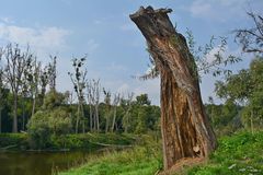 An der Mulde in Nordsachsen