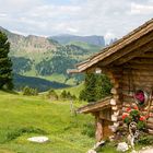 An der Murmeltierhütte