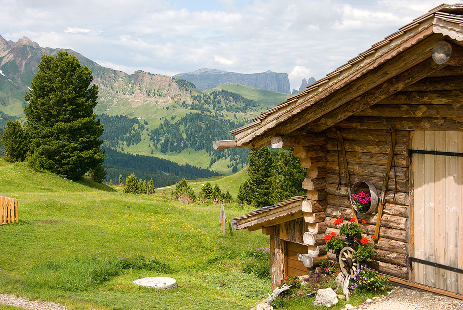 An der Murmeltierhütte