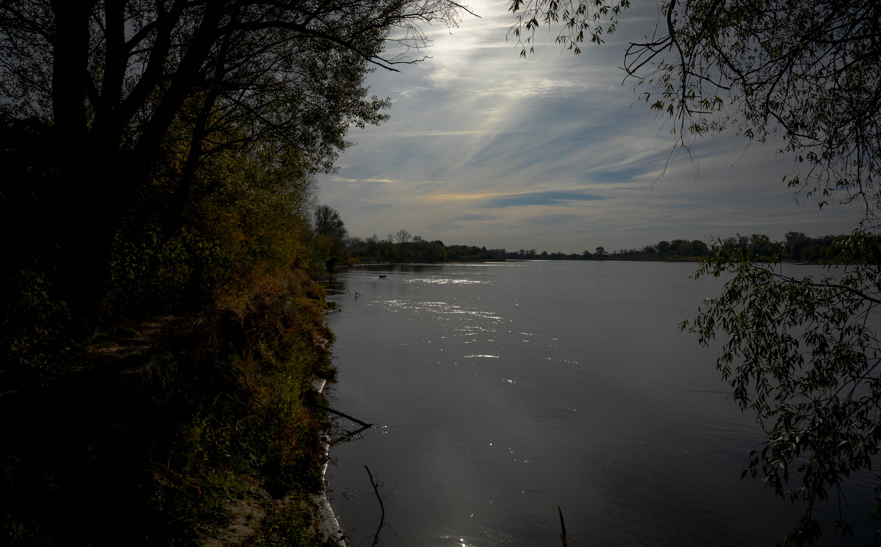 An der Narew.