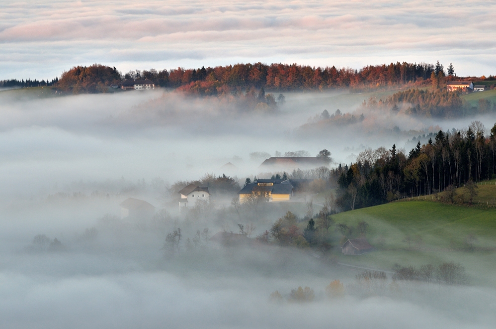 An der Nebelgrenze