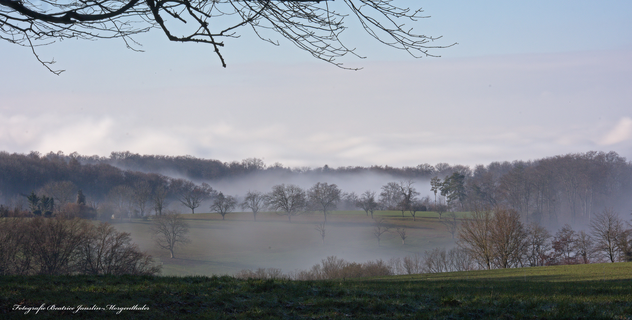 An der Nebelgrenze