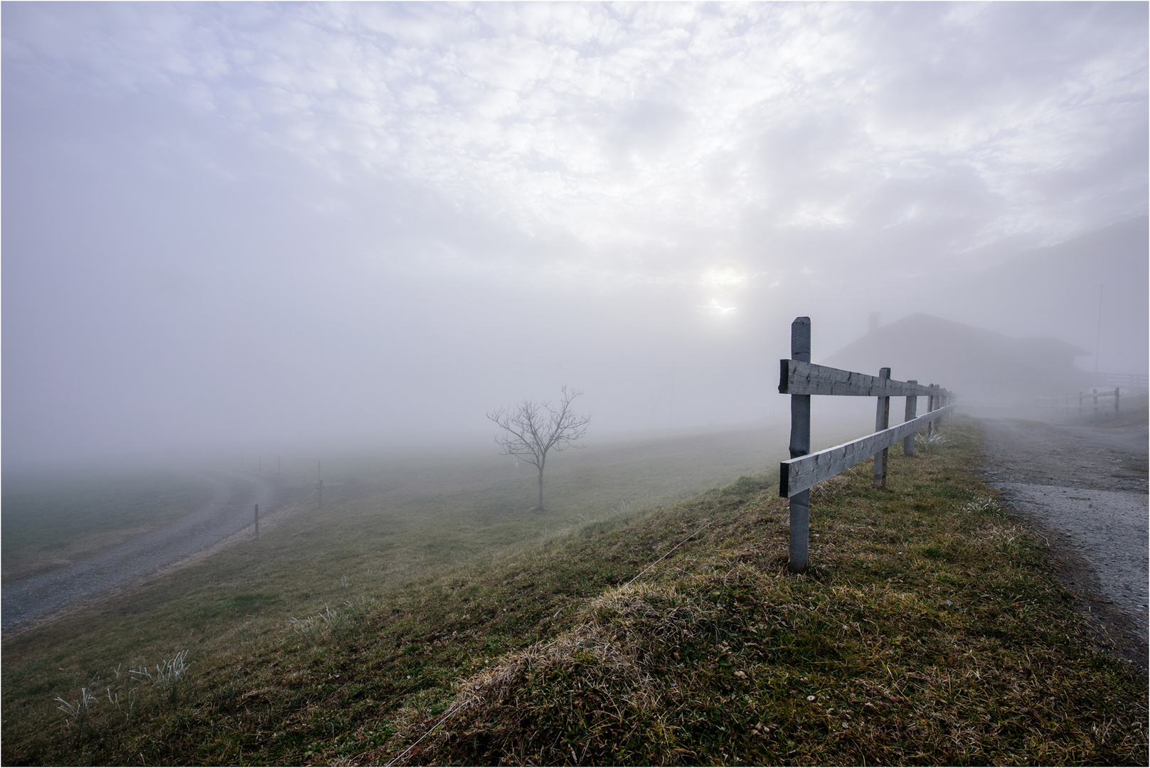 An der Nebelgrenze