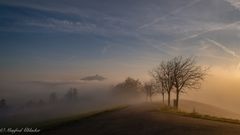 An der Nebelgrenze ...