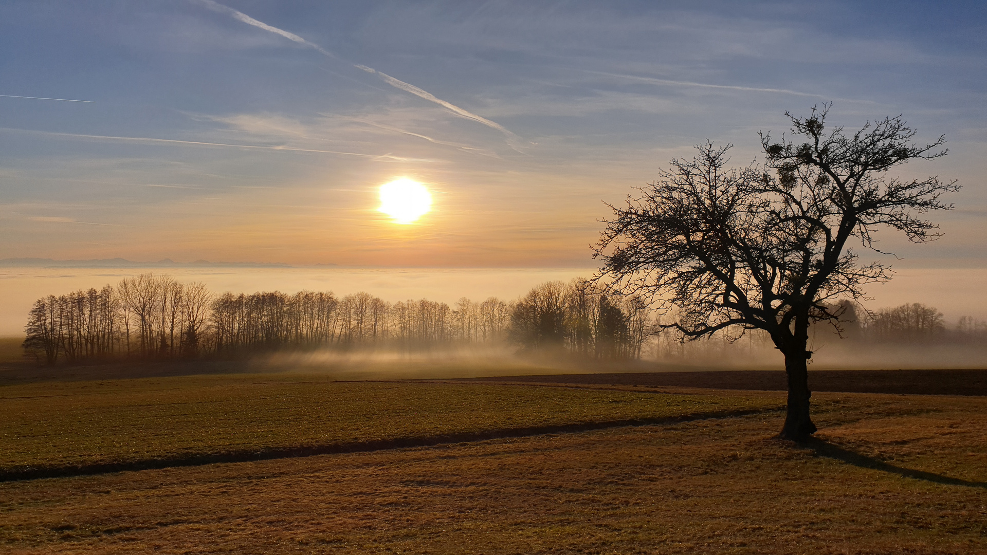 An der Nebelgrenze