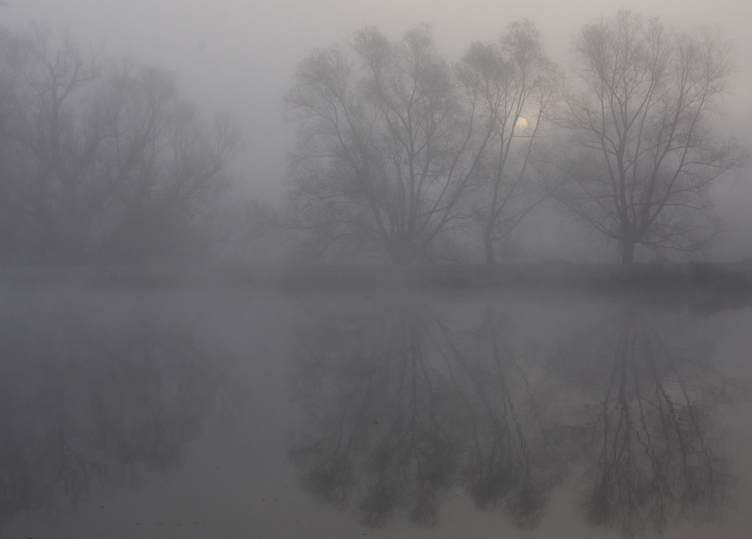 An der nebeligen Ruhr zum Sonnenaufgang....