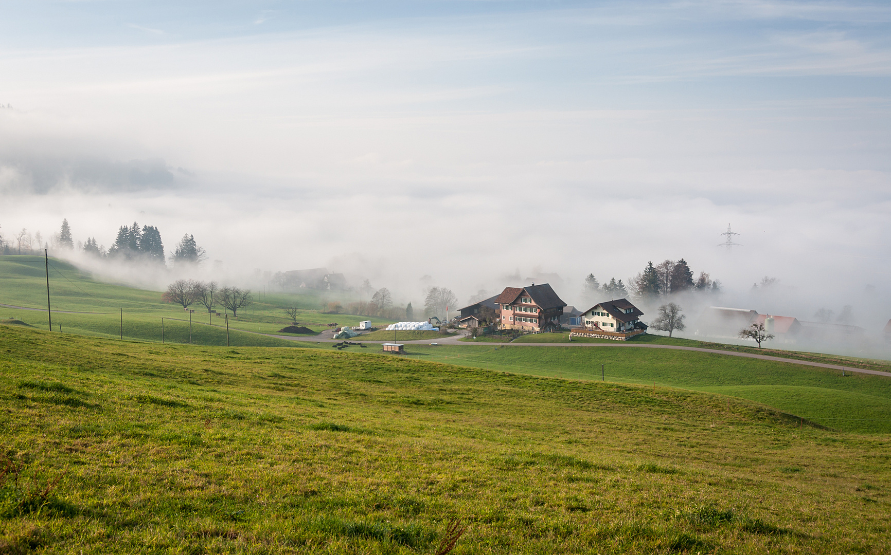 an der Nebelobergrenze