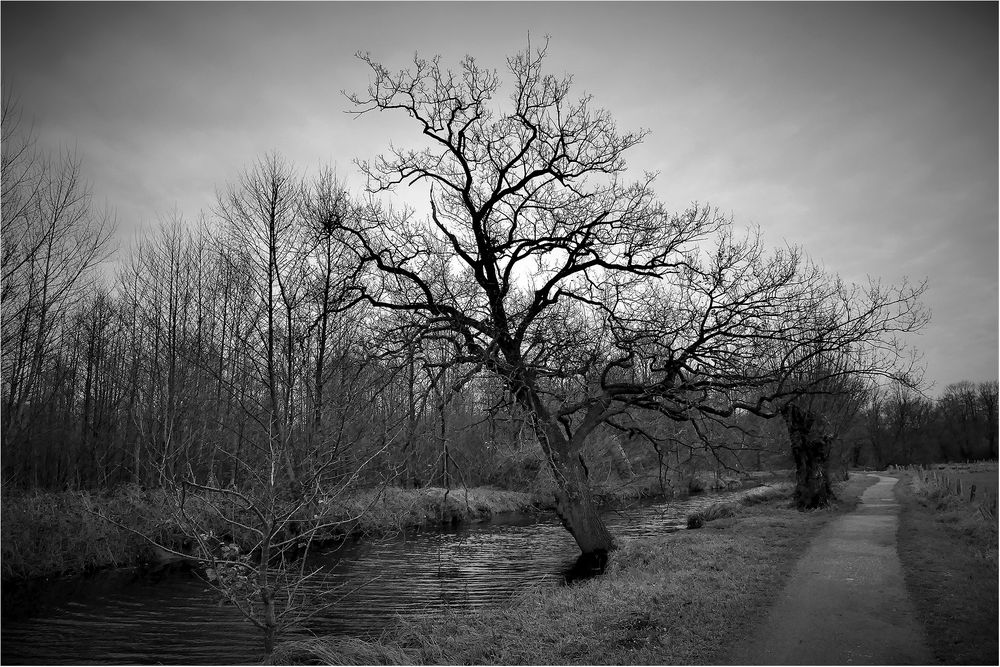 An der Nette... Foto & Bild outdoor, wasser, bäume Bilder auf