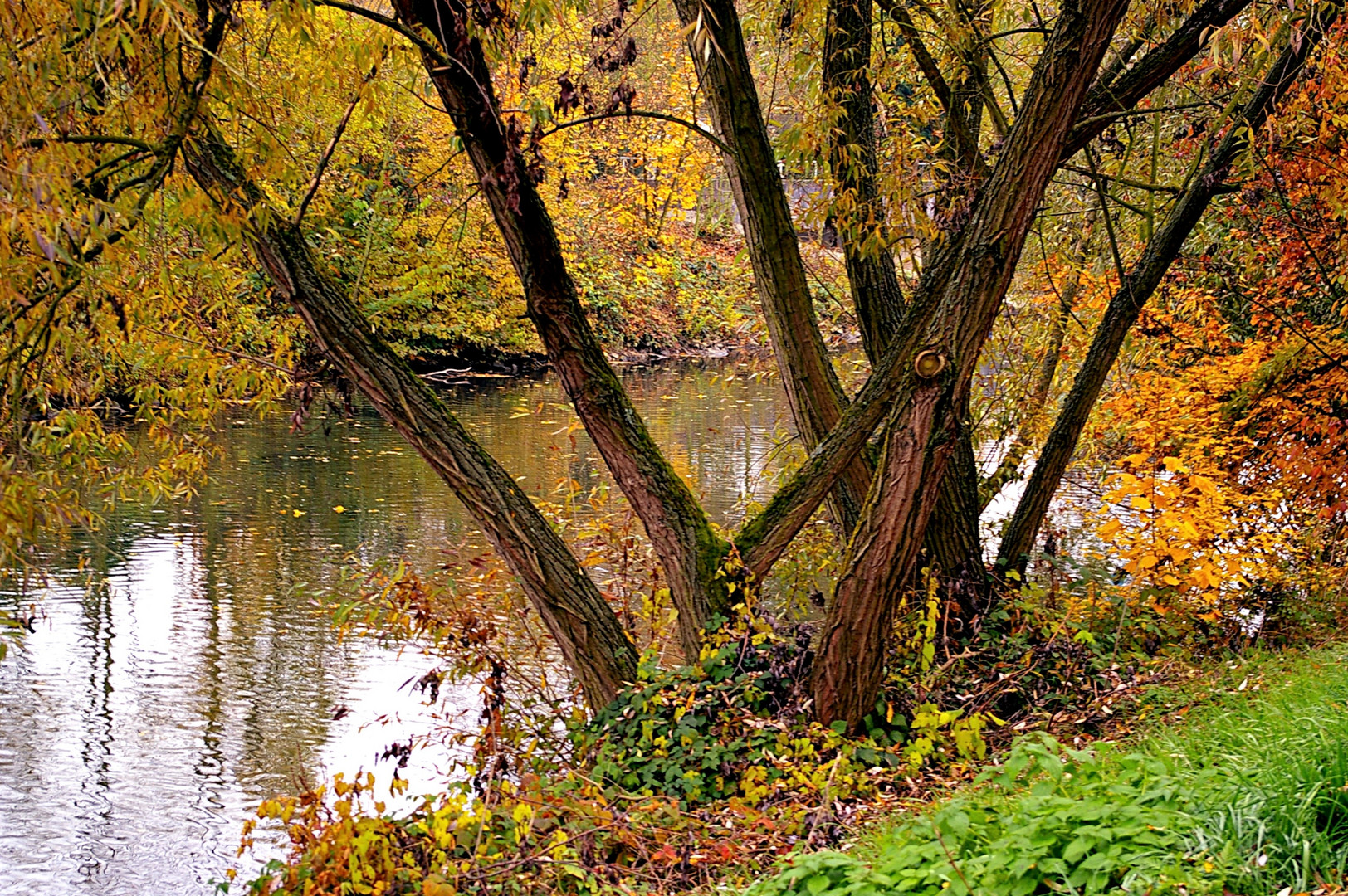 An der Nidda (2)