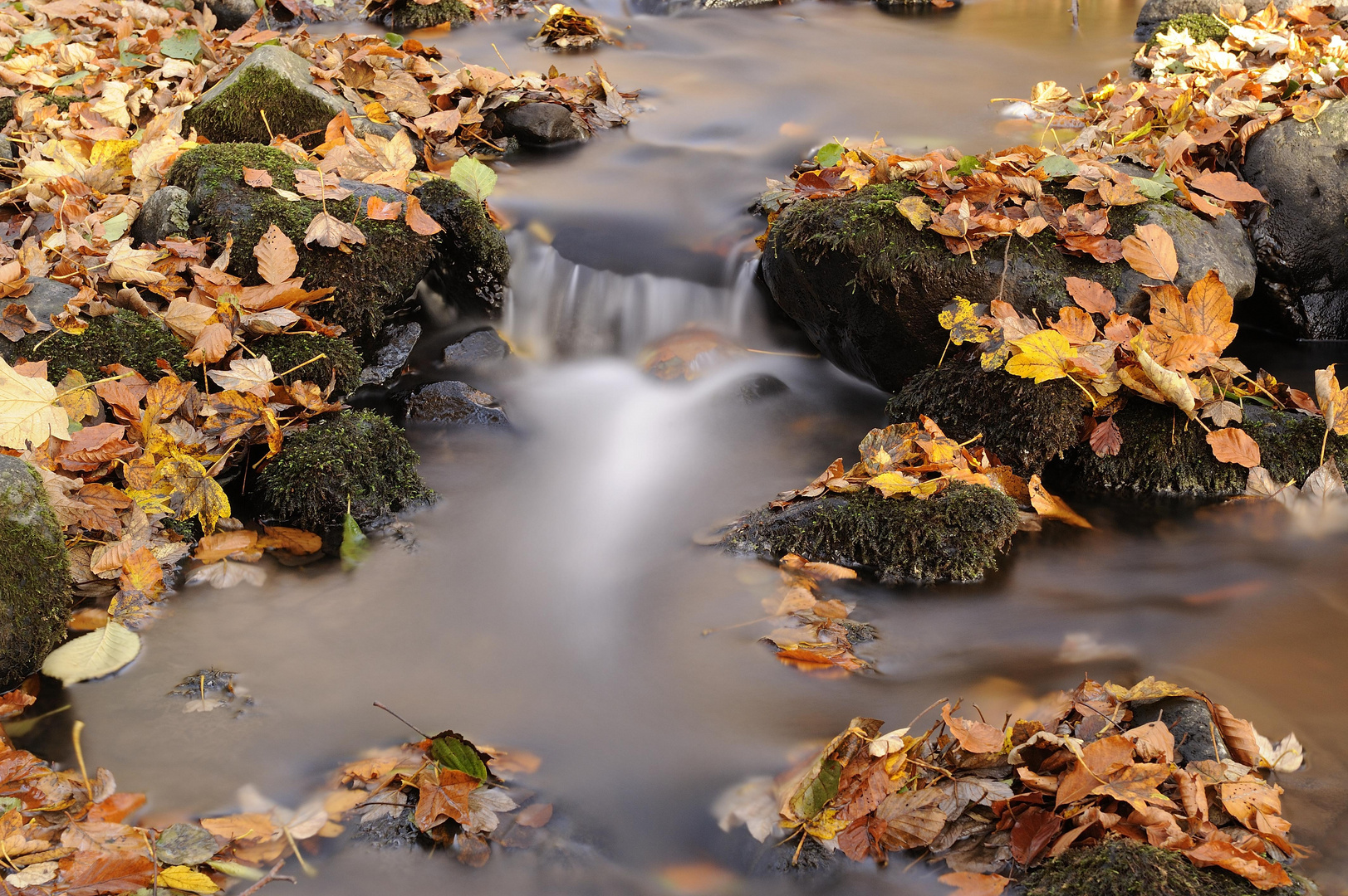 An der Nidda