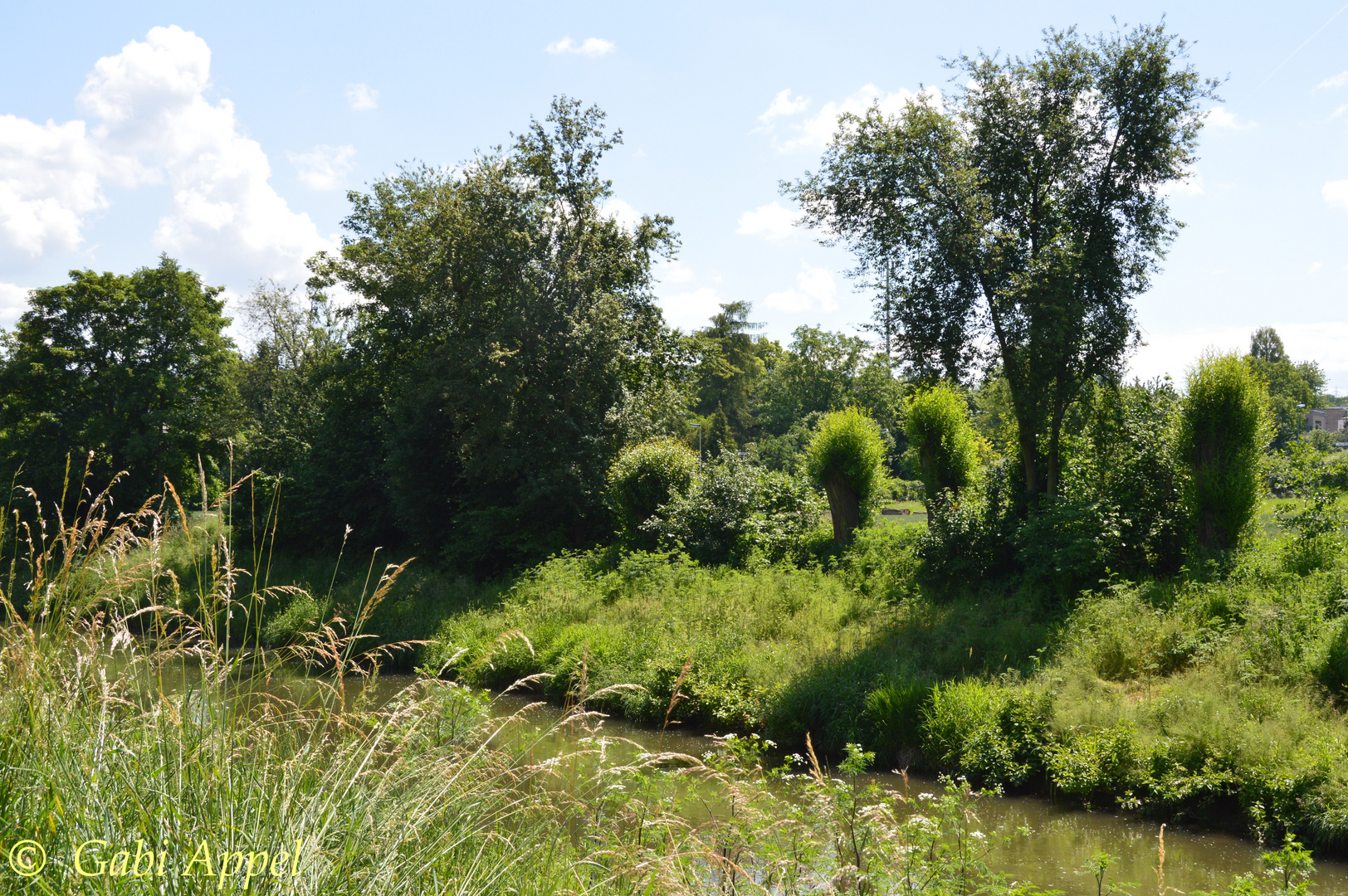 an der Nidda